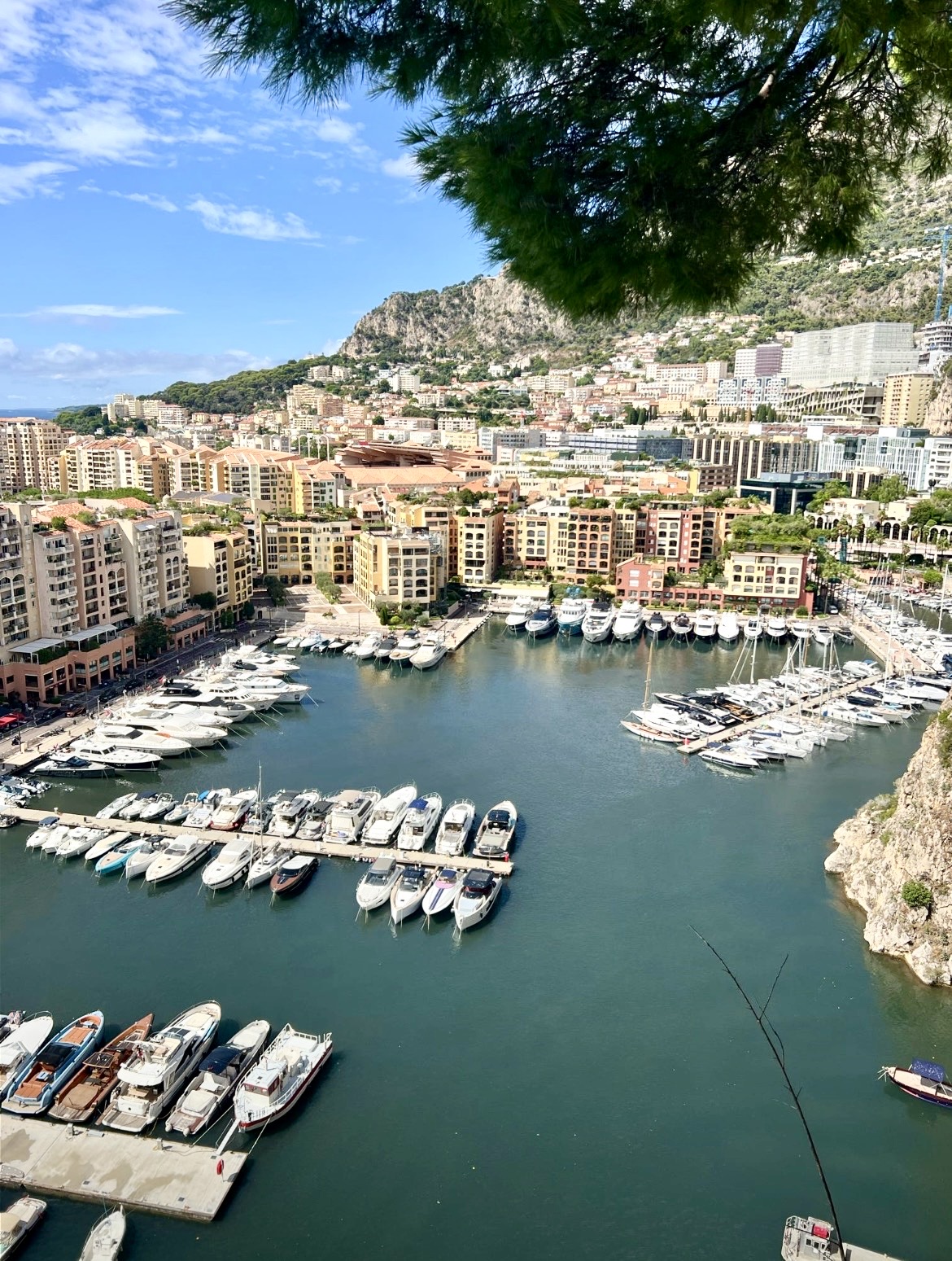Luxury cruise ship and coastline